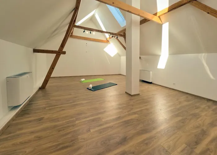 Centrum Rosenbaum * Beroun (Central Bohemian)